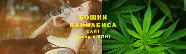 apvp Кукмор