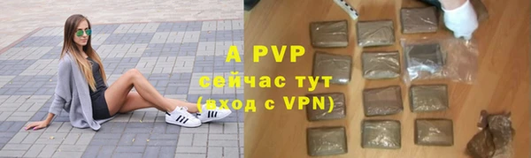 apvp Кукмор