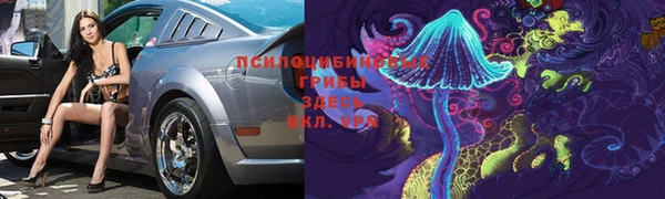 apvp Кукмор