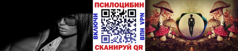 Купить  Салехард  Галлюциногенные грибы Cubensis 